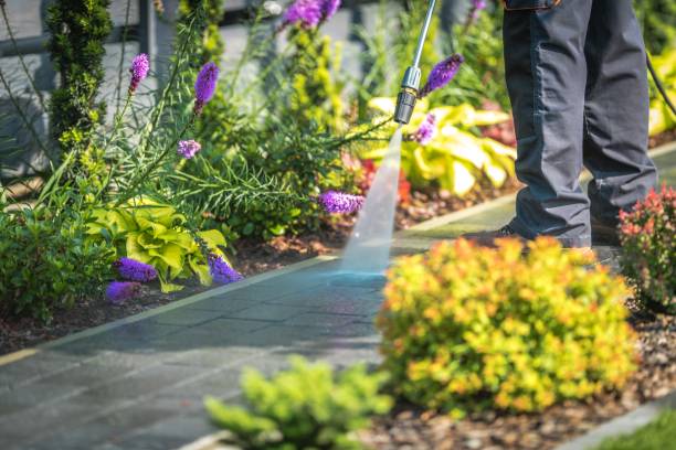Best Winterizing Services  in Tokeneke, CT